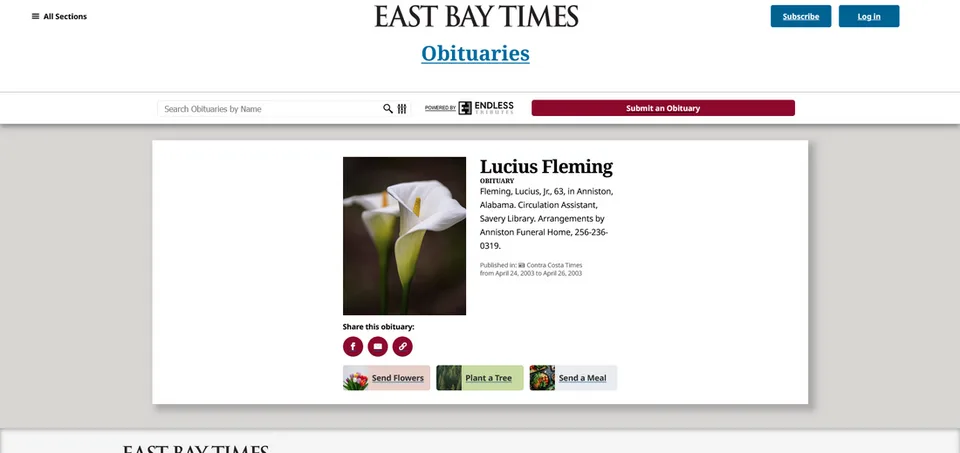 Picture